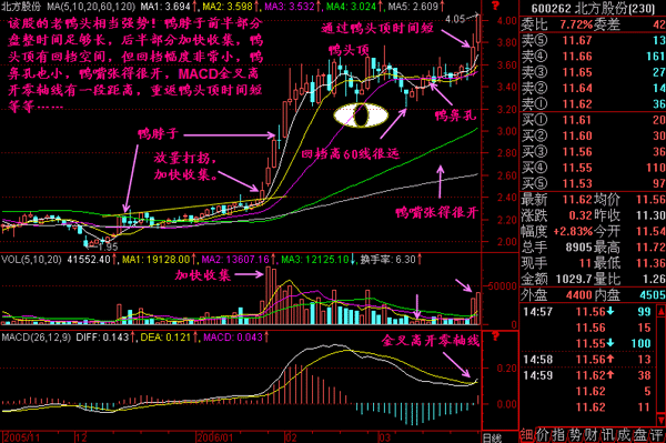 如何购买和交易股票？全面指南